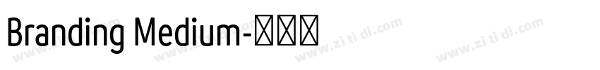 Branding Medium字体转换